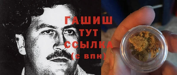 PSILOCYBIN Няндома