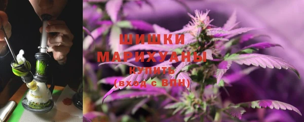 ПСИЛОЦИБИНОВЫЕ ГРИБЫ Алзамай