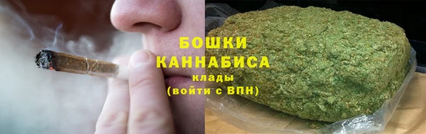 ПСИЛОЦИБИНОВЫЕ ГРИБЫ Алзамай