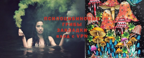 ПСИЛОЦИБИНОВЫЕ ГРИБЫ Алзамай